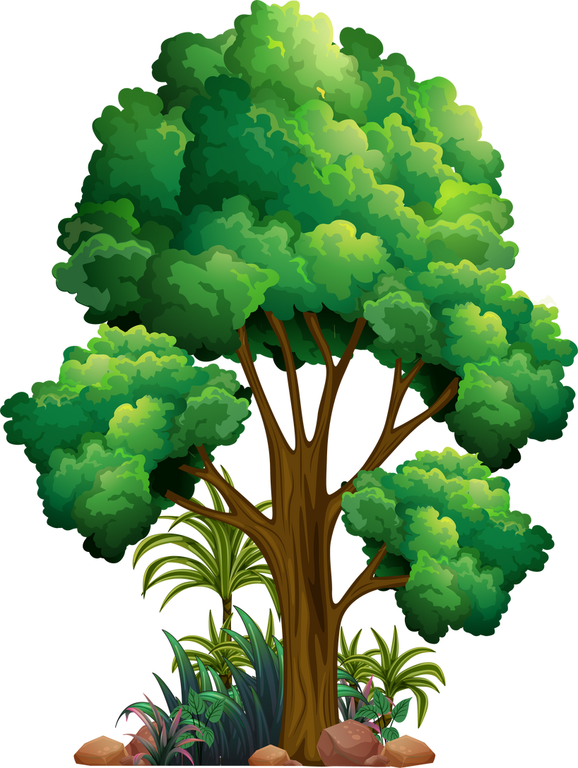 Big Tree Isolated Cartoon